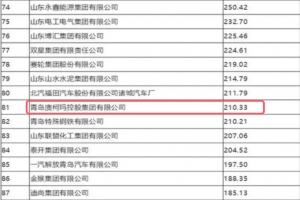 2023山東百強企業(yè)名單公布，澳柯瑪等企業(yè)上榜