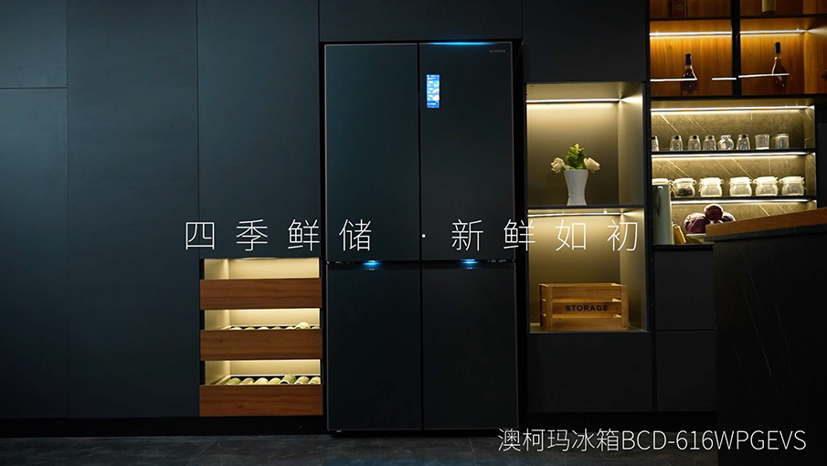 澳柯瑪BCD616四季鮮儲冰箱，MAP抗氧鎖鮮~暢享新鮮每一天~讓世界新鮮如初